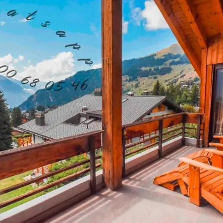 Wunderschoene Mit Echtem In Out Skifahren Apartment *